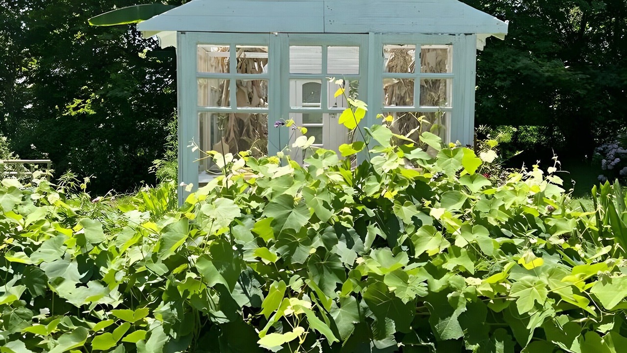 Photo of Outdoor in Saint-Barthelemy