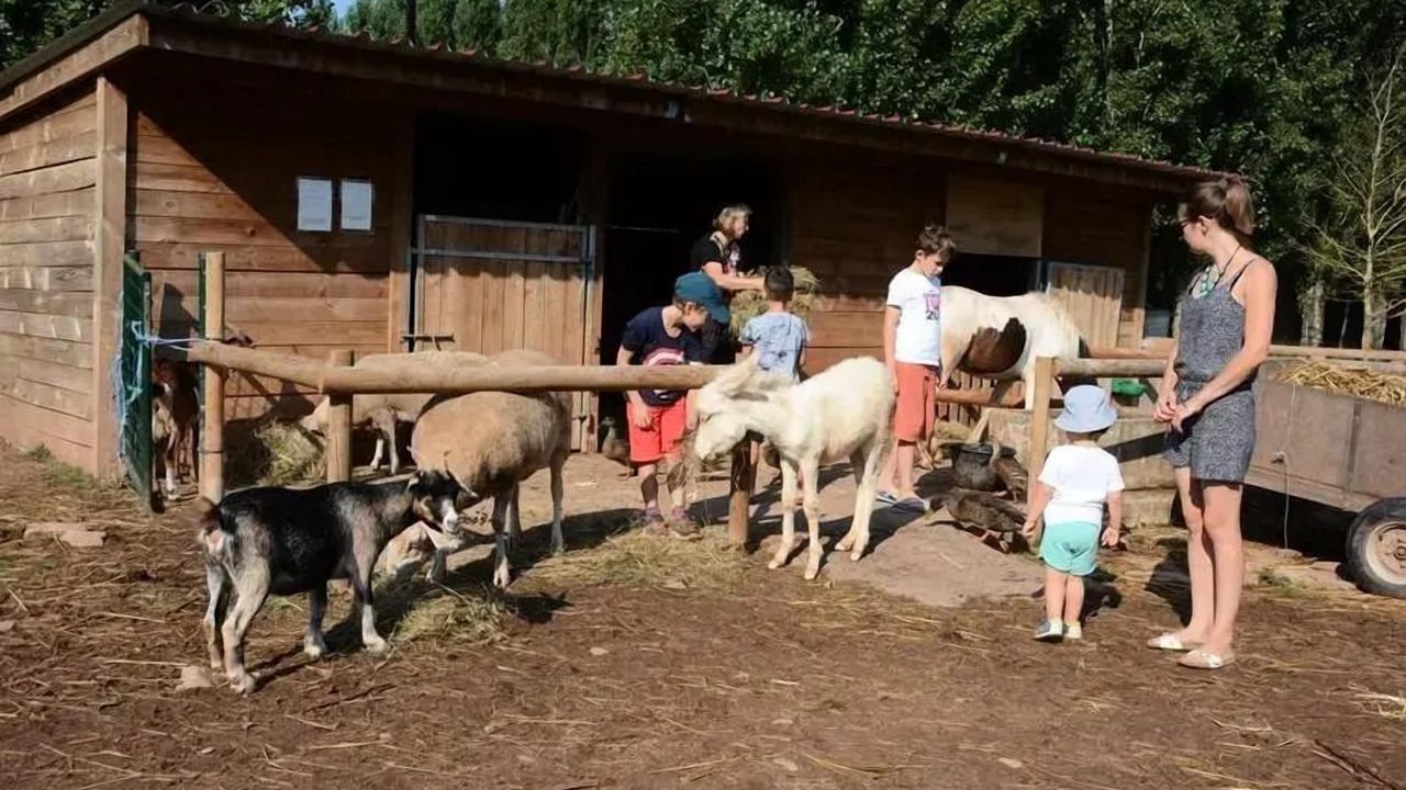Photo of Others in Montlaur