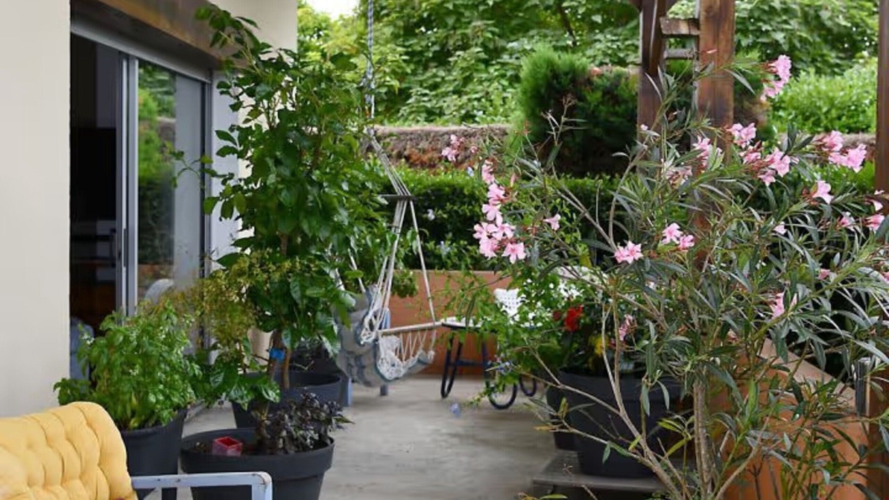 Photo of Patio Balcony in Mios