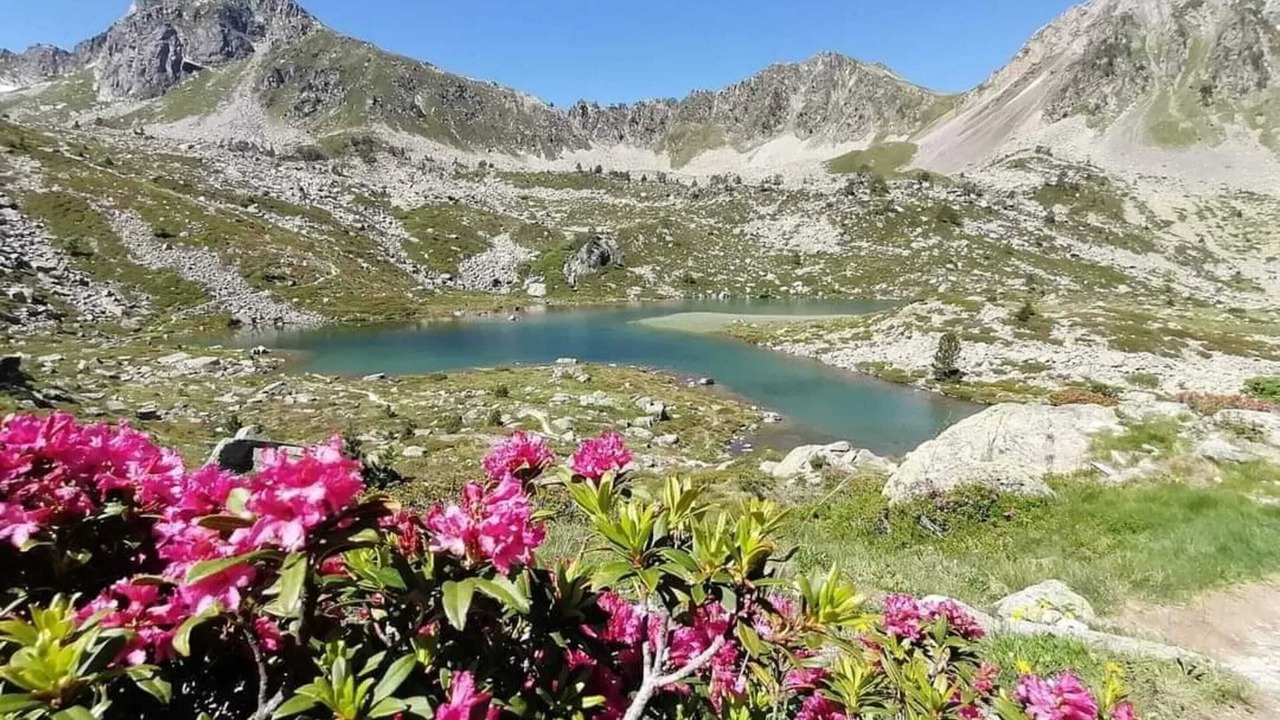 Photo of Others in Aragnouet