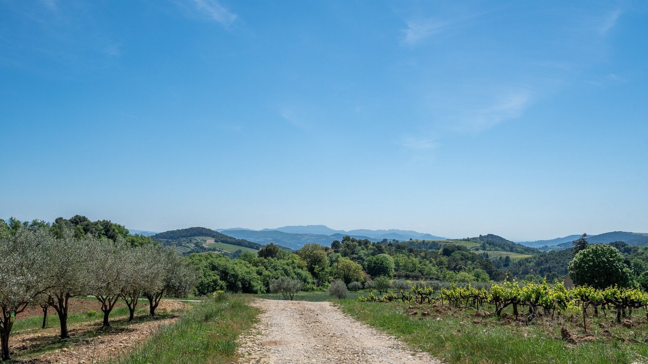 Photo of Others in Venterol