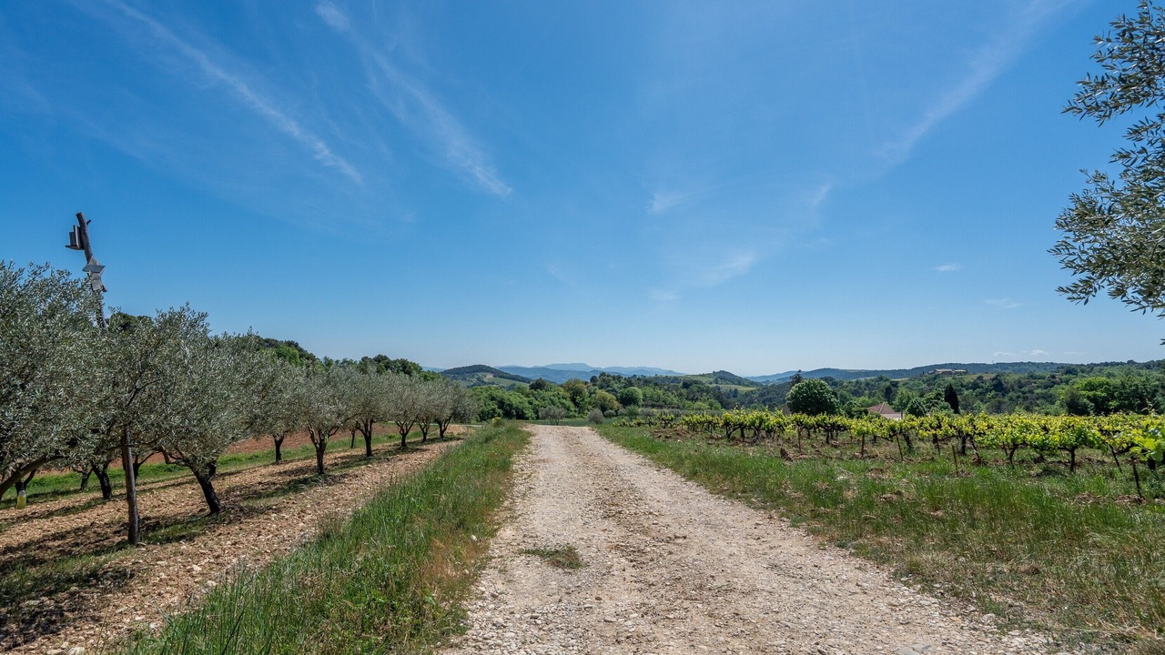 Photo of Others in Venterol