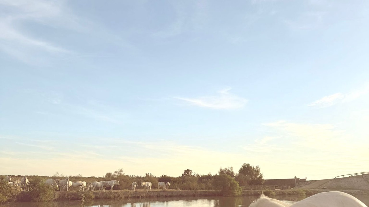 Photo of Others in Beauvoisin