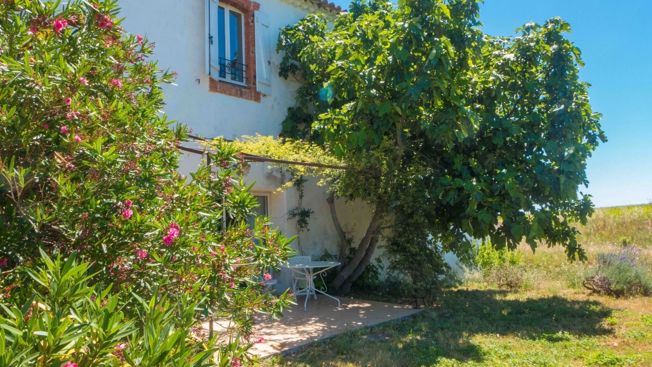 Photo of Others in Murviel-les-Beziers
