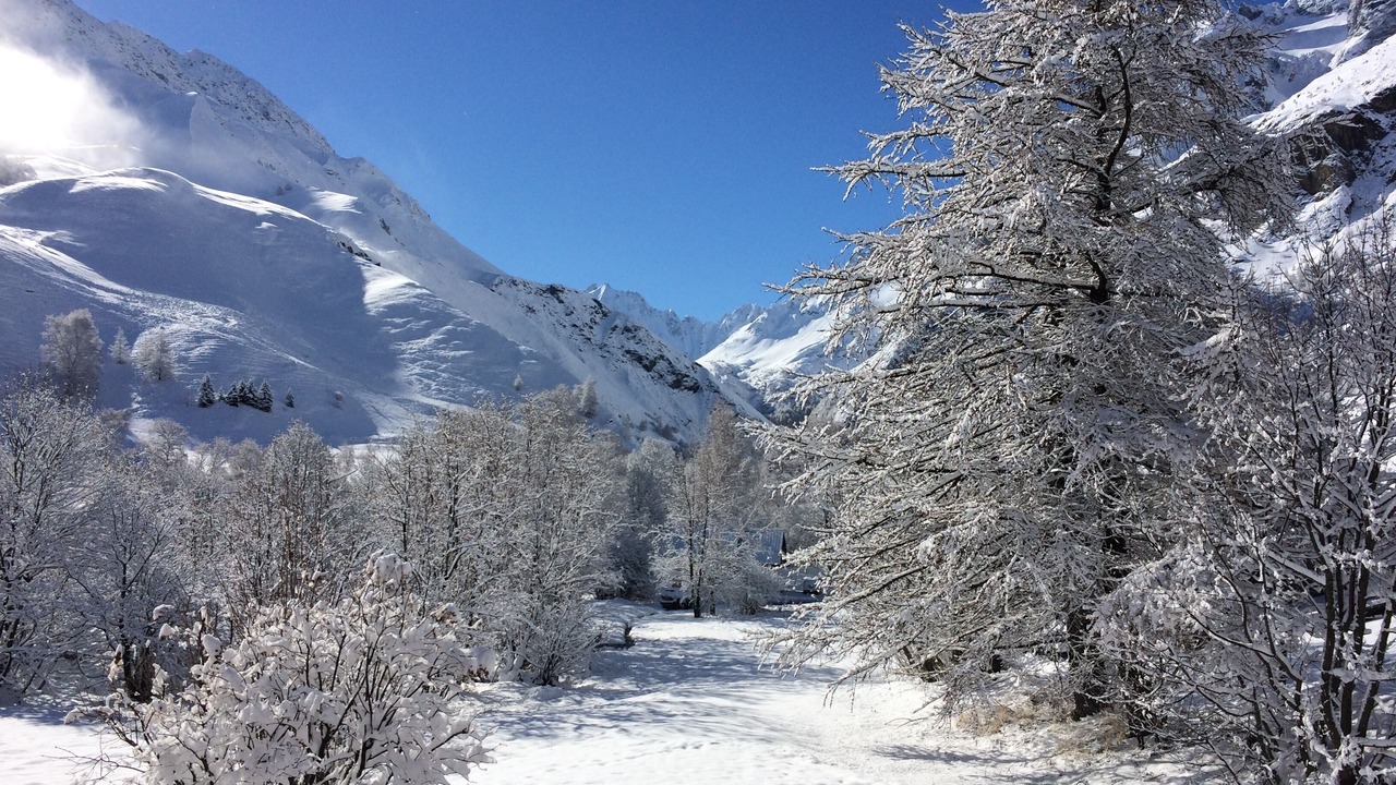 Photo of Others in Le Pied du Col