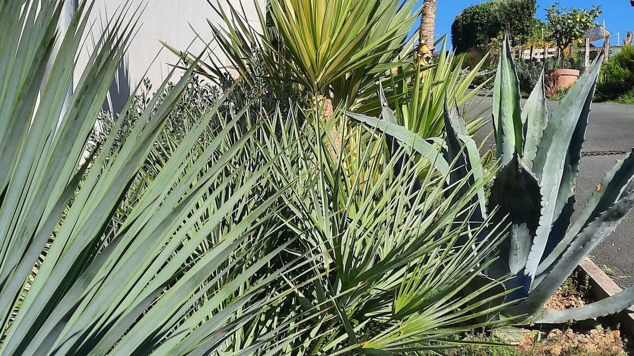 Photo of Outdoor in Jatxou
