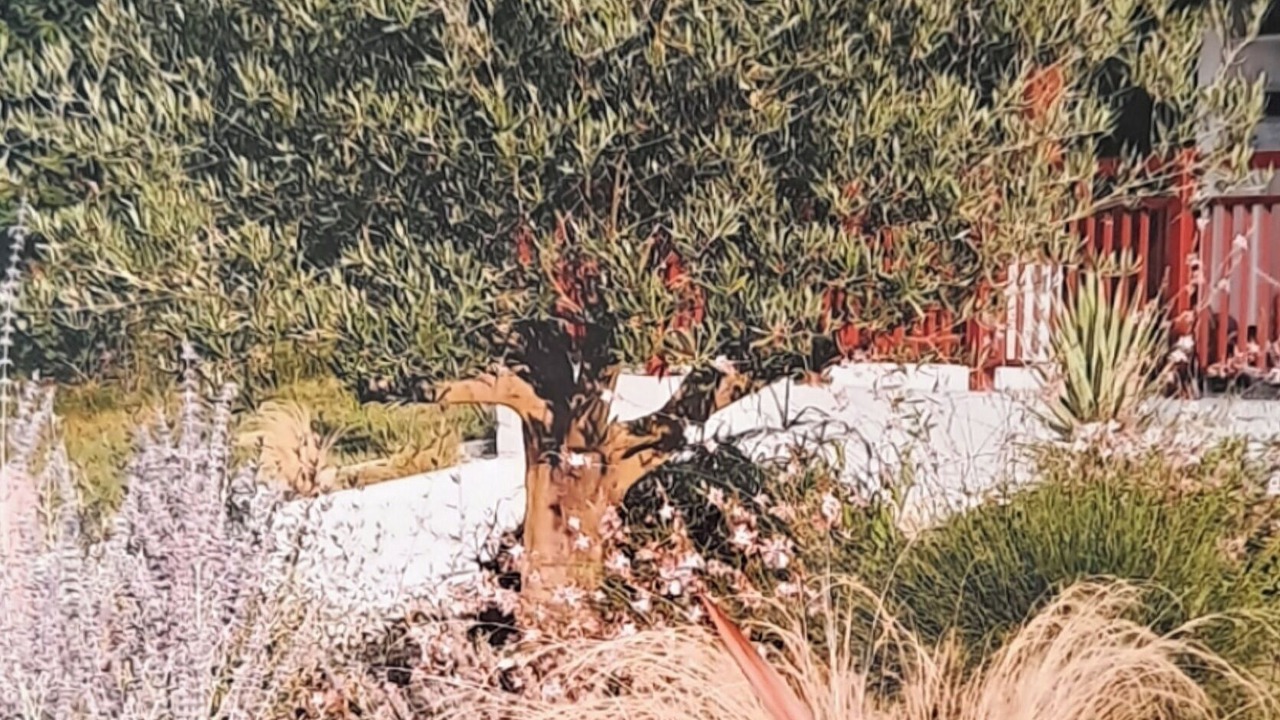 Photo of Outdoor in Jatxou