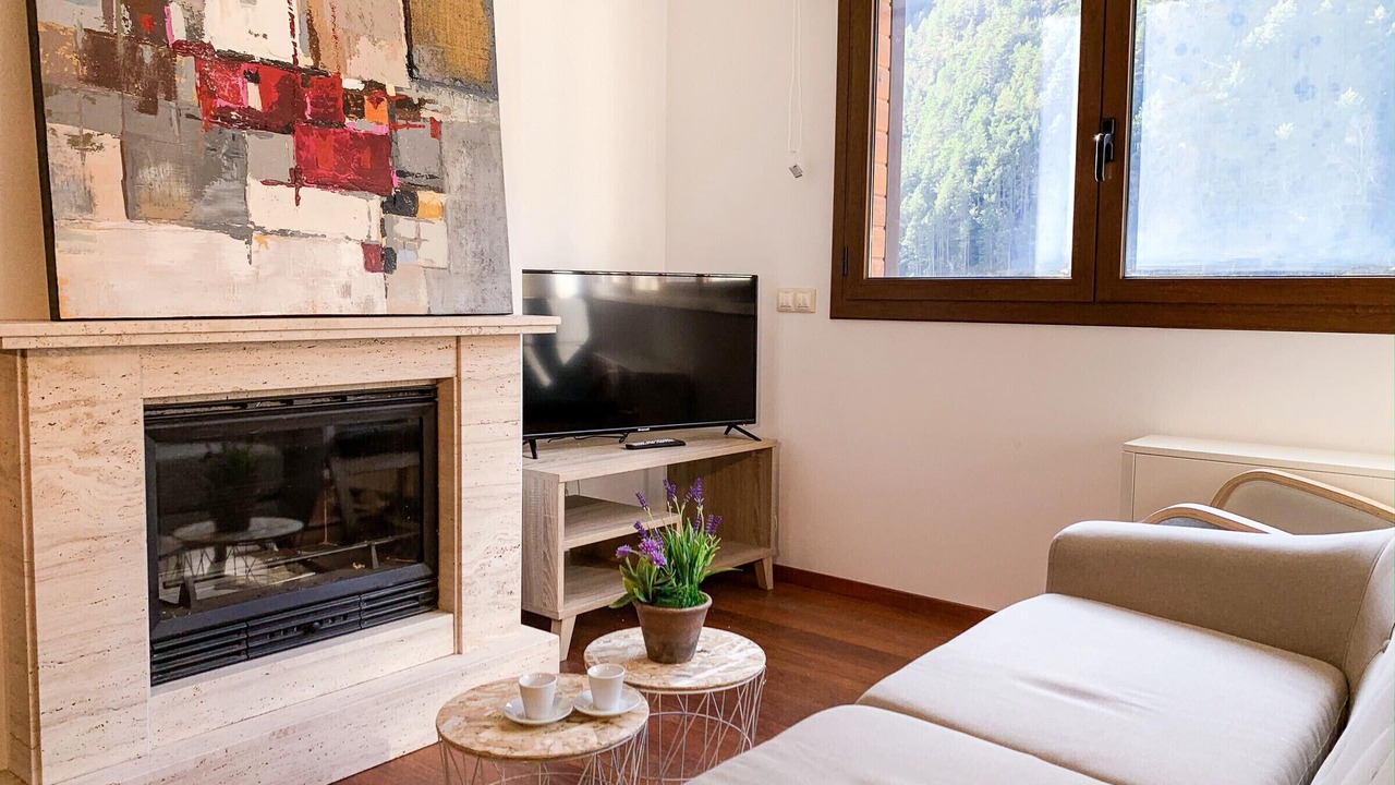 Photo of Livingroom in Arinsal