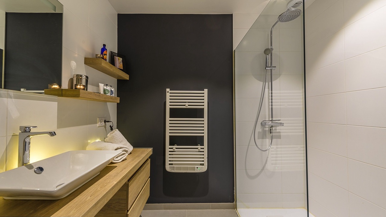 Photo of Bathroom in Saint-Jorioz
