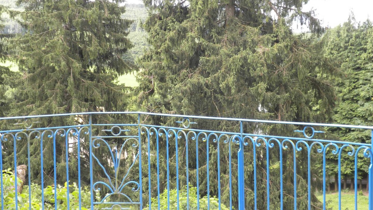 Photo of Outdoor in Lacaune