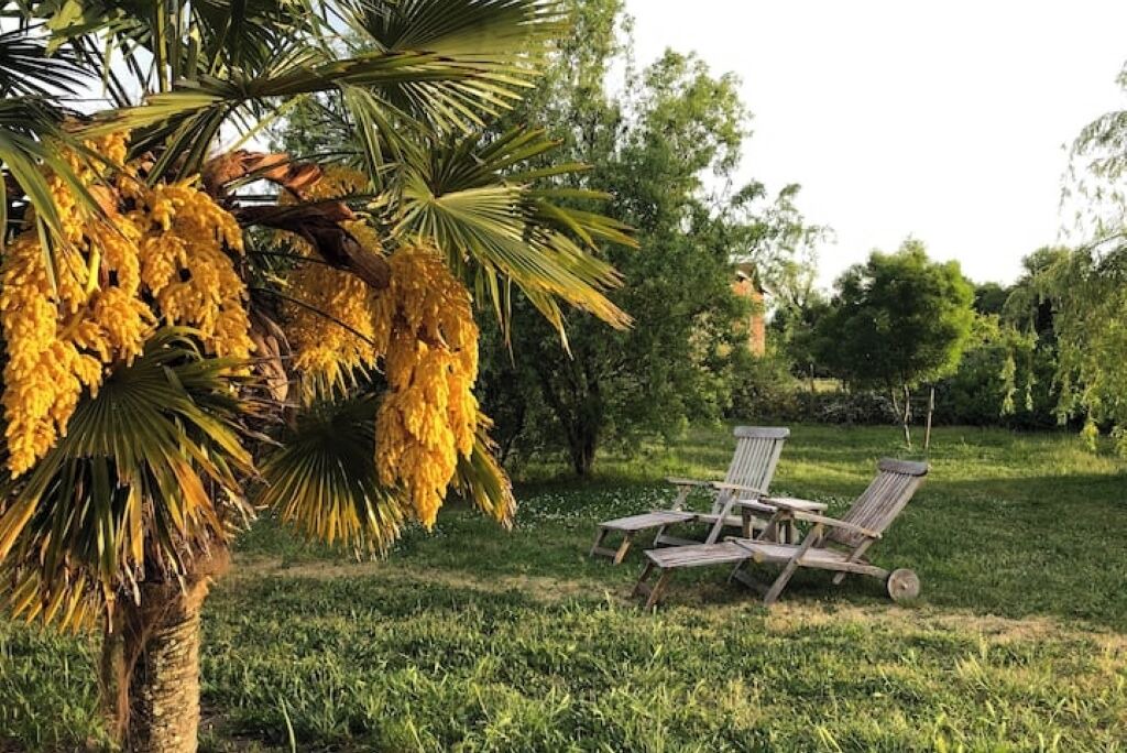 Photo of Outdoor in Queyrac