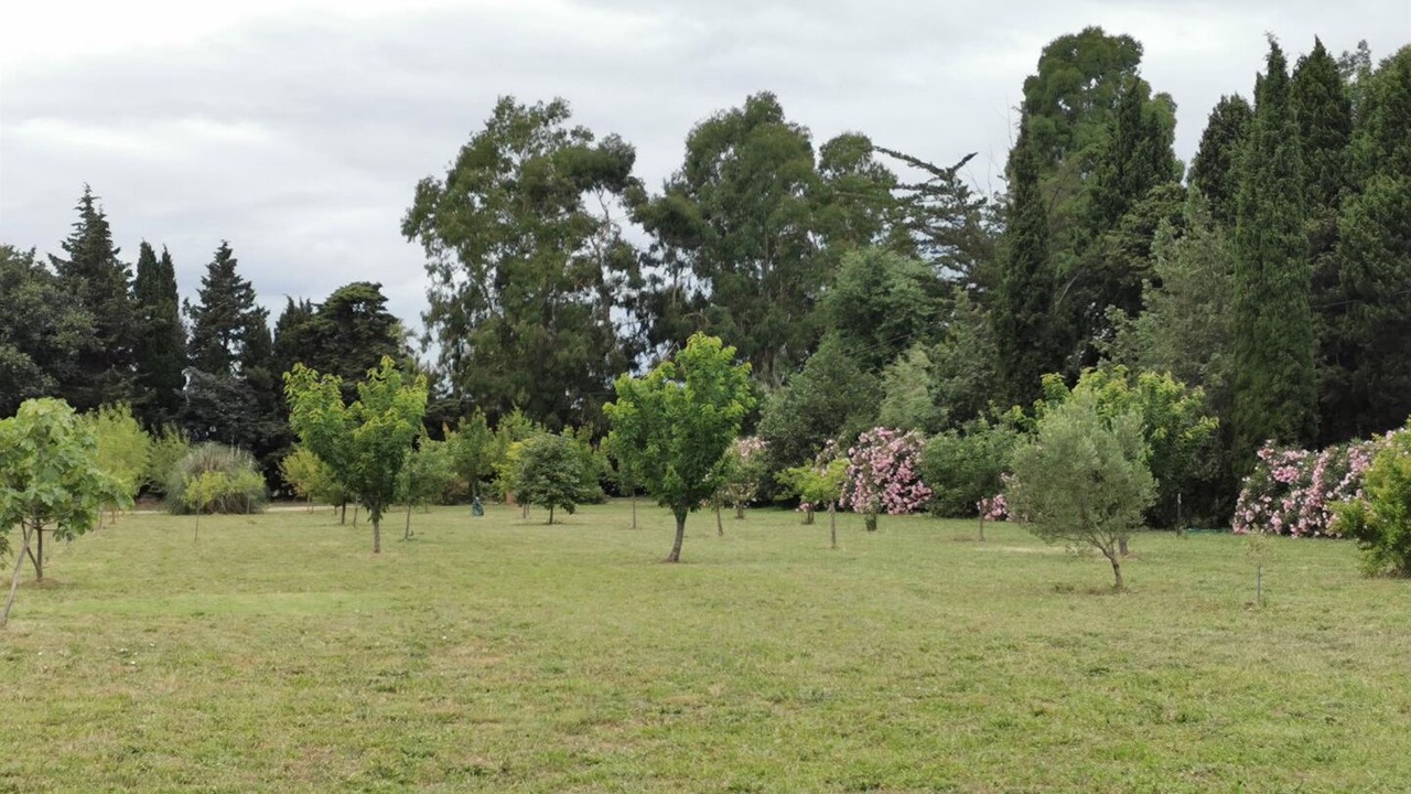 Photo of Outdoor in Alenya