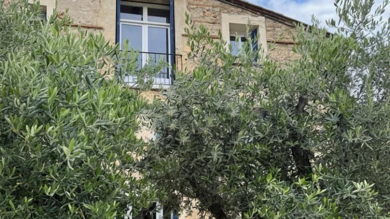 Photo of Outdoor in Thuir