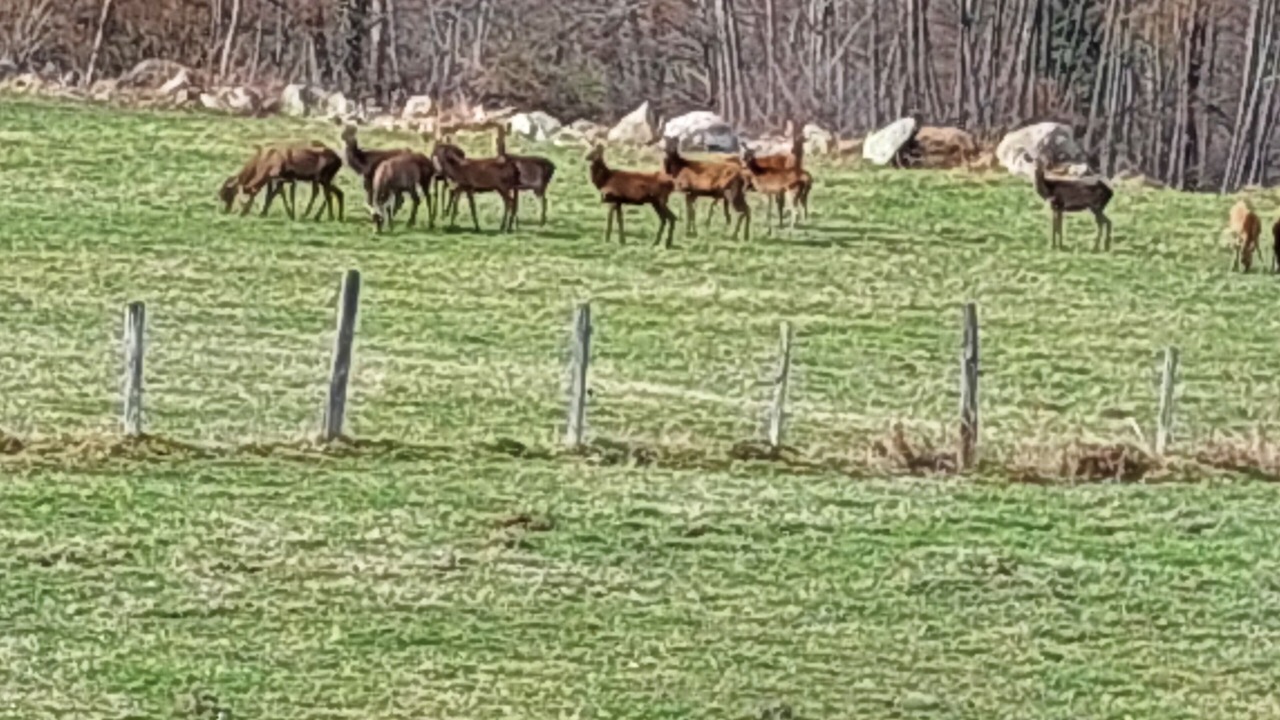 Photo of Others in Cazarilh