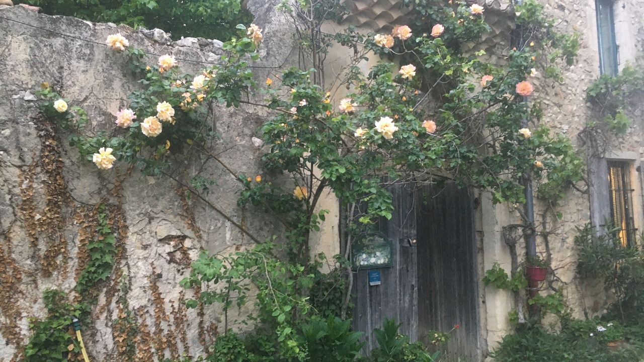 Photo of Outdoor in Sauzet