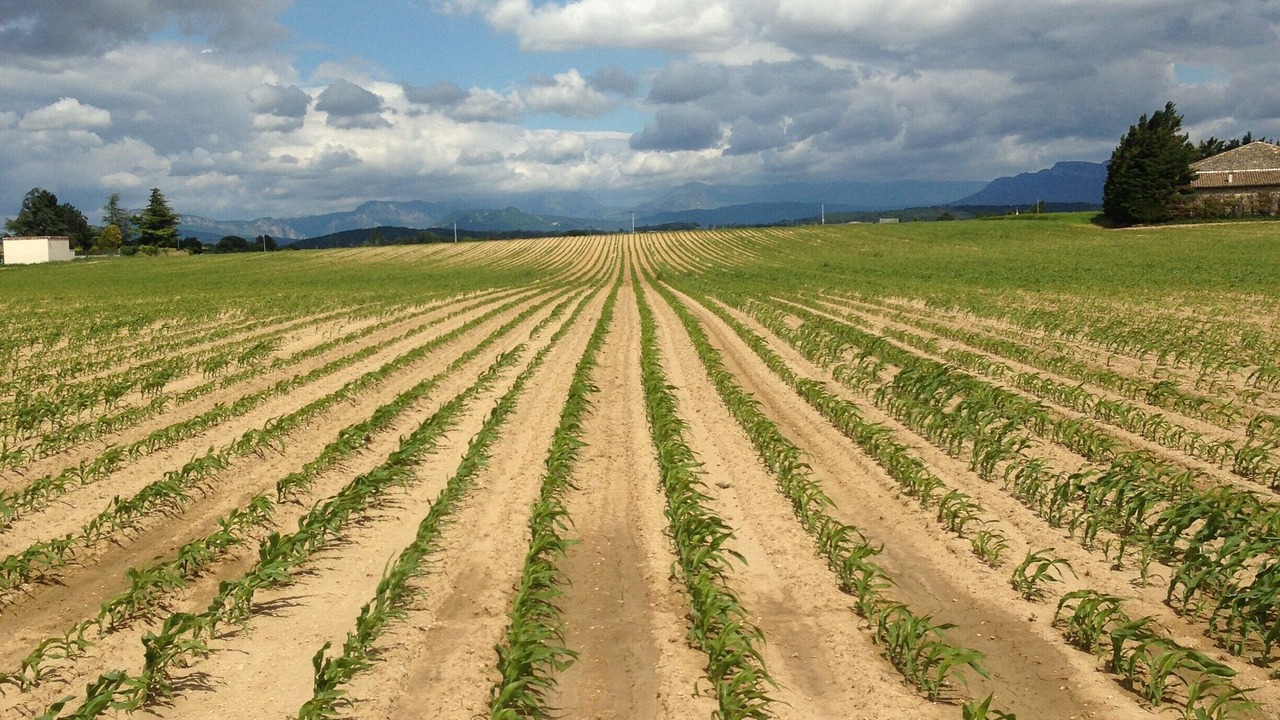 Photo of Others in Sauzet
