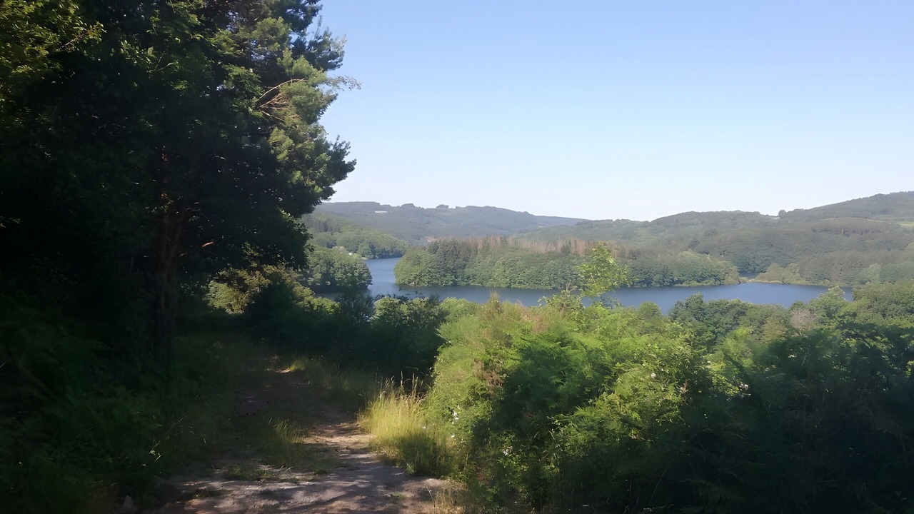 Photo of Others in La Salvetat-sur-Agout