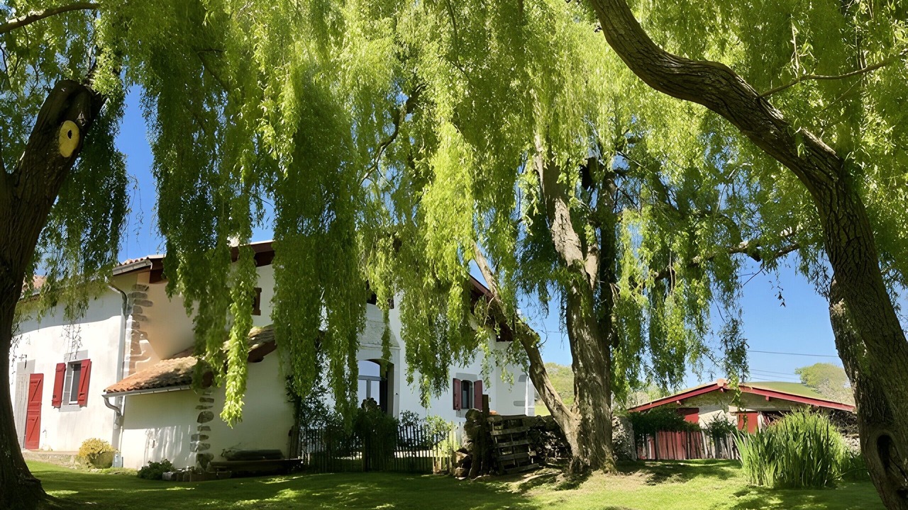 Photo of Outdoor in Iholdy