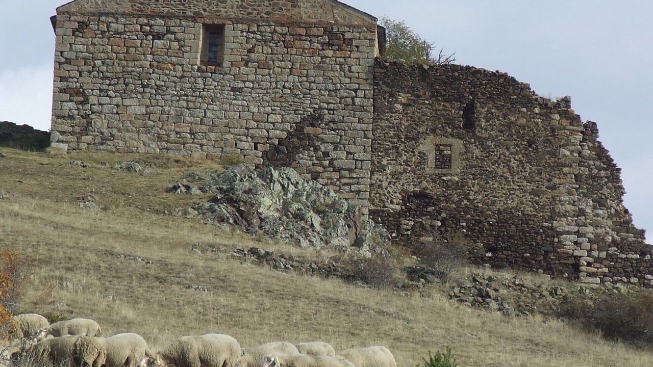 Photo of Others in Puigcerda