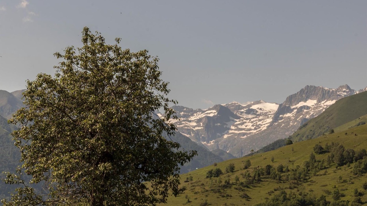 Photo of Others in Poubeau