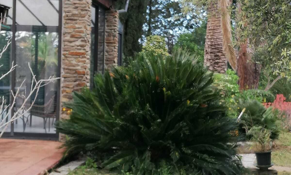 Photo of Outdoor in Montescot