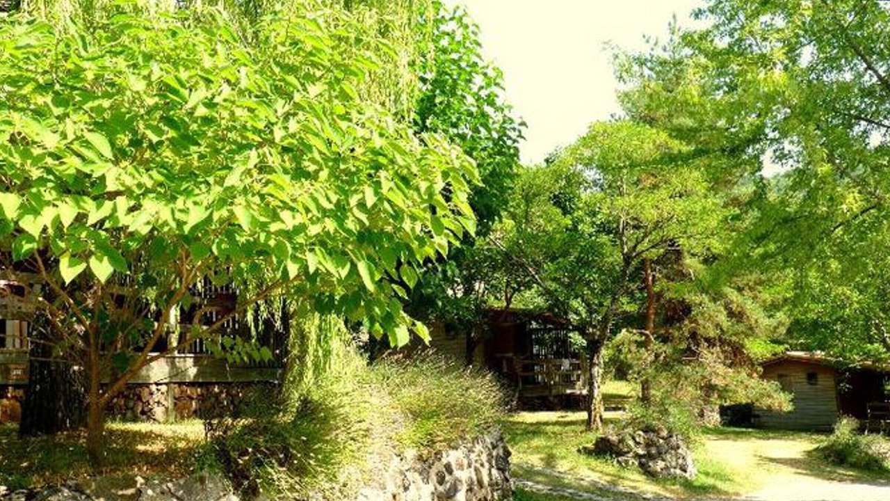 Photo of Outdoor in Darbres