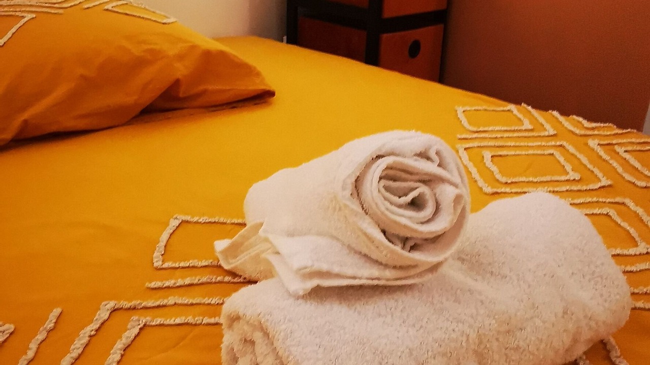 Photo of Bedroom in Valence