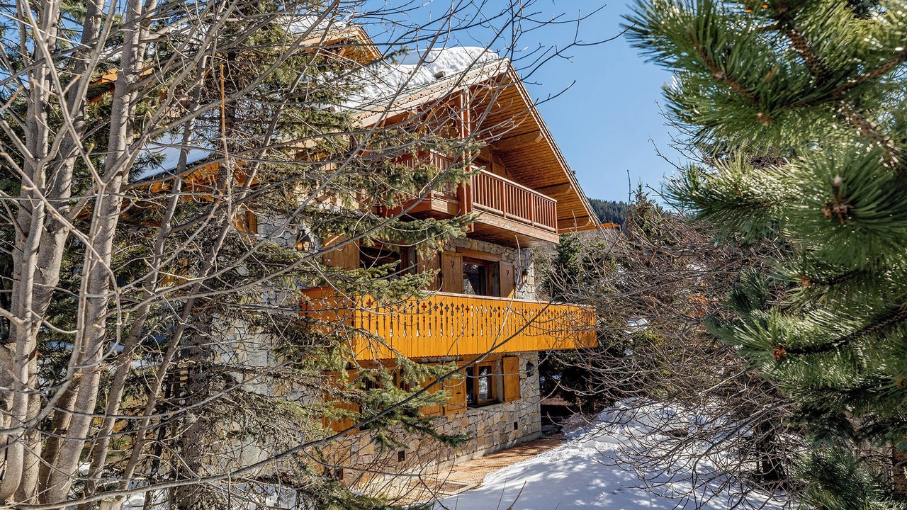 Photo of Outdoor in Meribel Village