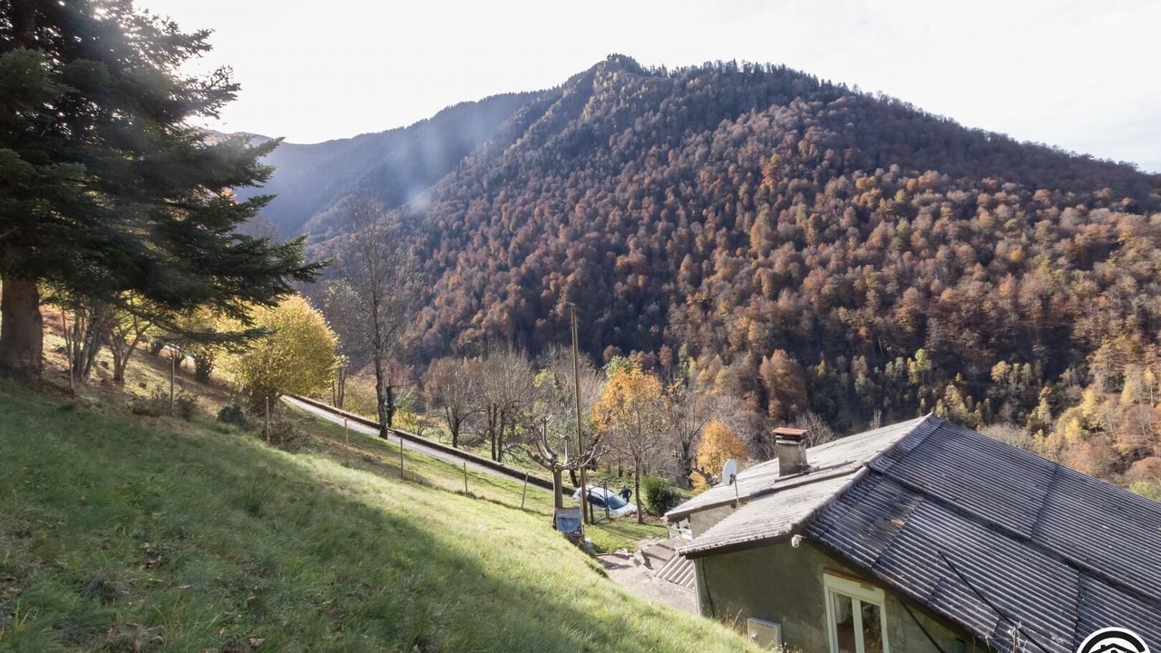 Photo of Others in Melles