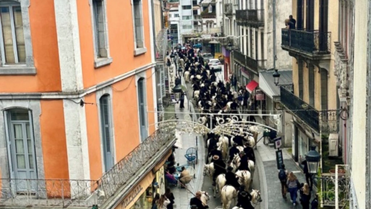 Photo of Others in Lourdes