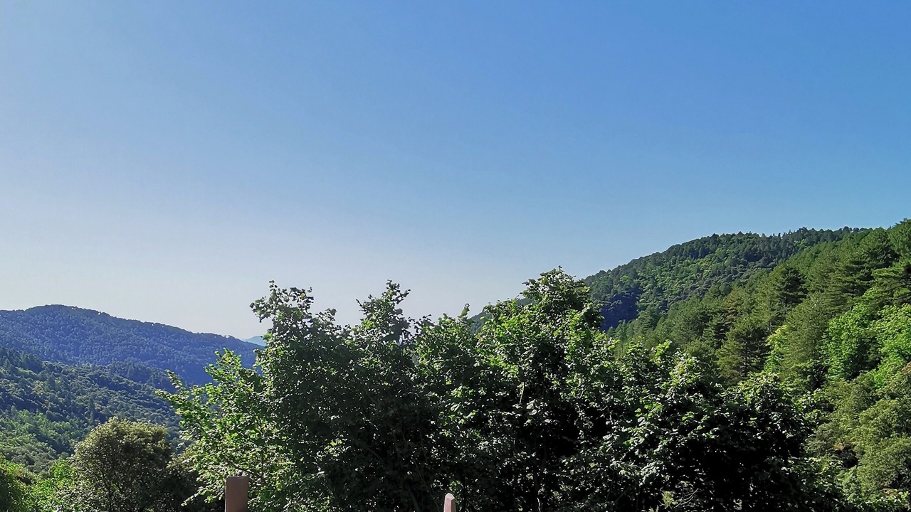 Photo of Outdoor in Saint-Pierre-Saint-Jean