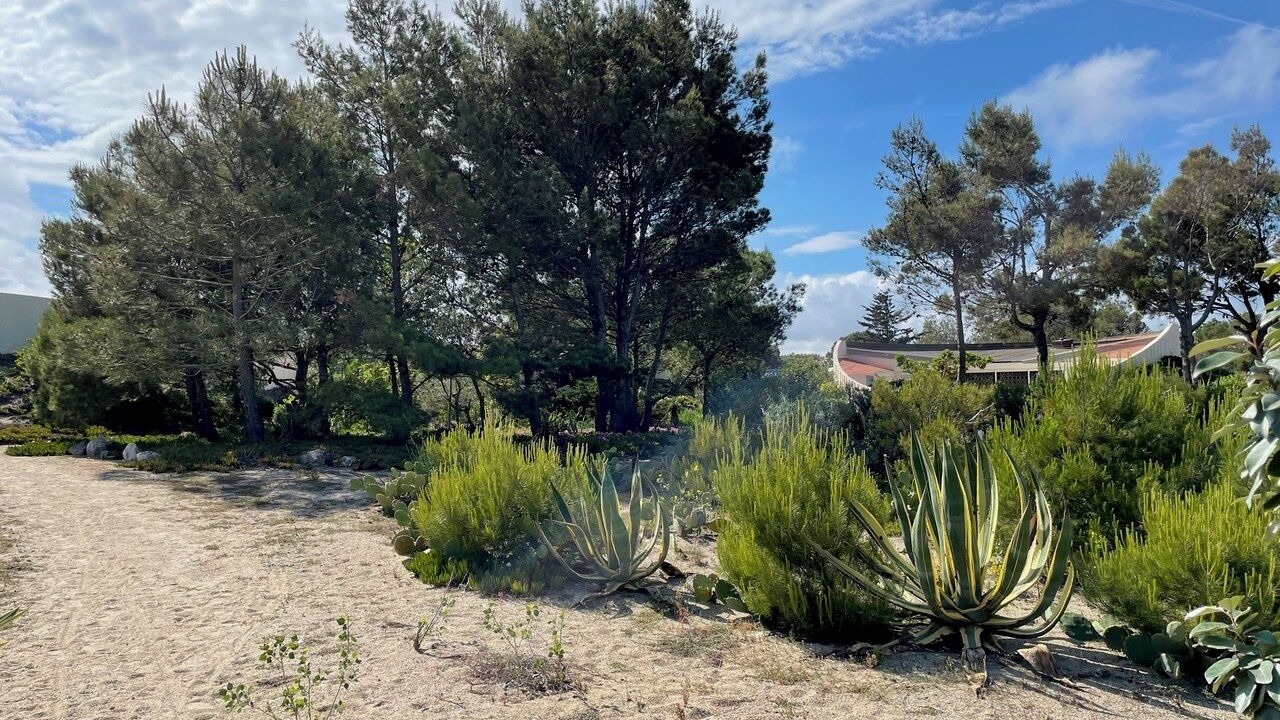 Photo of Outdoor in Torreilles-Plage