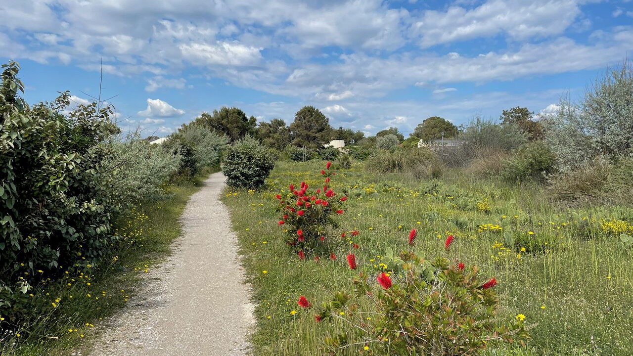 Photo of Others in Torreilles-Plage