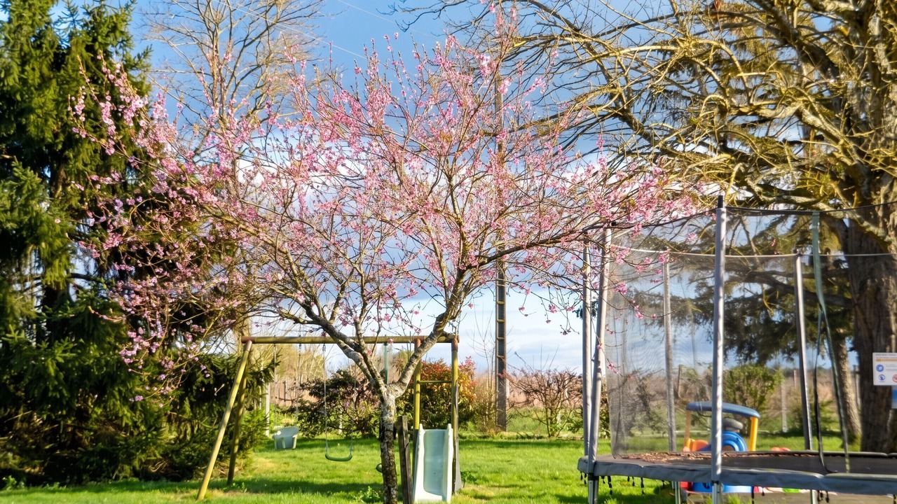 Photo of Outdoor in Perissac
