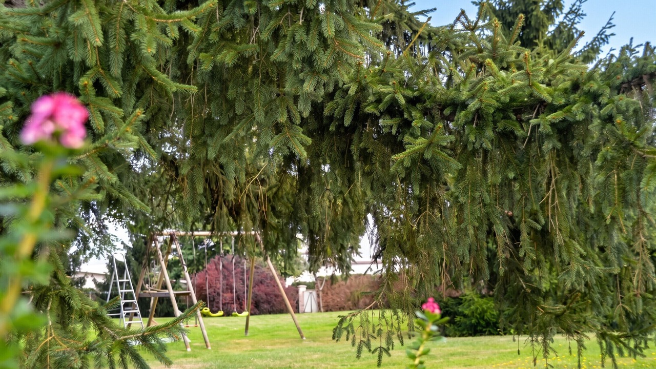 Photo of Outdoor in Perissac