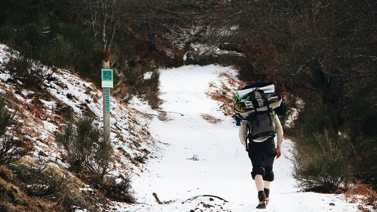 Photo of Others in Bagneres-de-Luchon