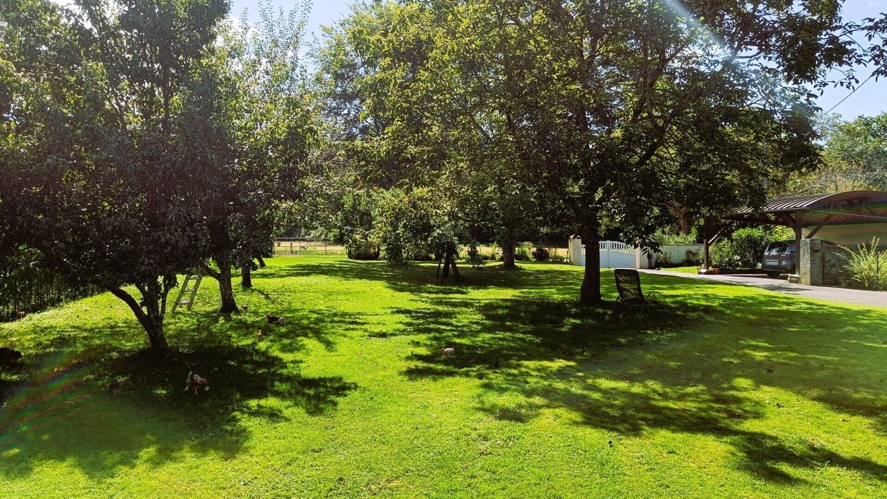 Photo of Outdoor in Oloron-Sainte-Marie