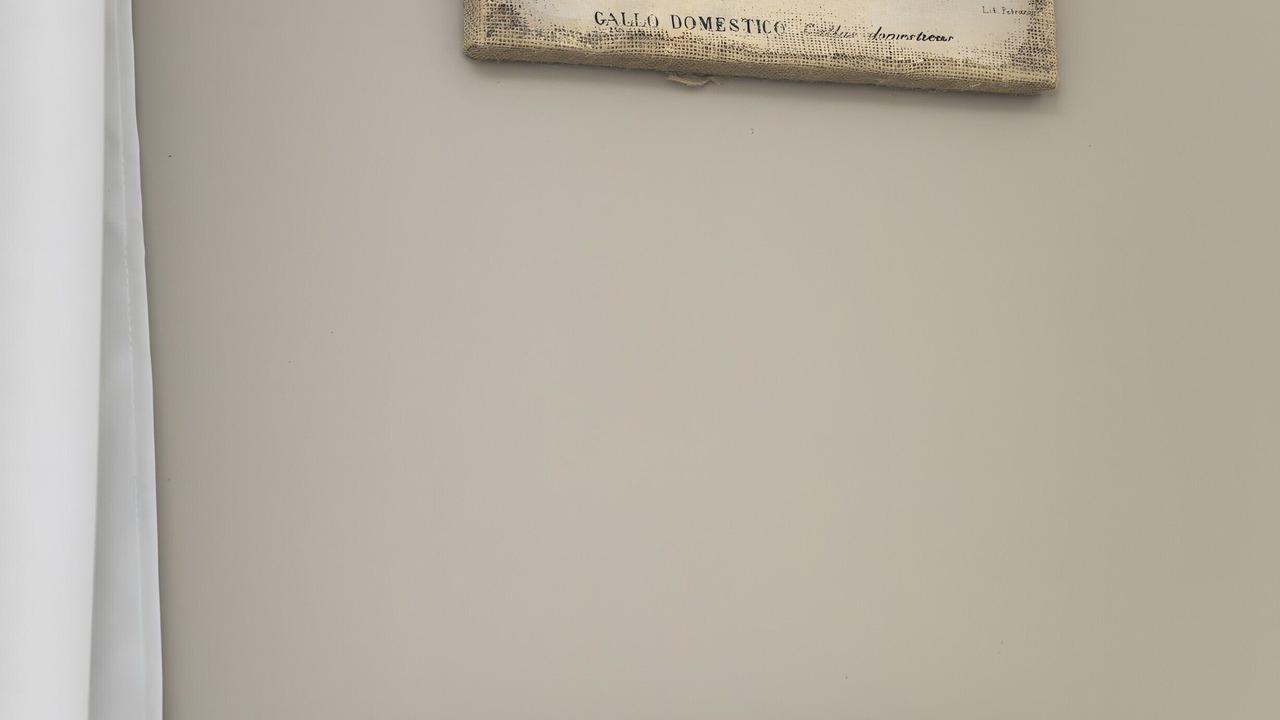 Photo of Others in Colonzelle