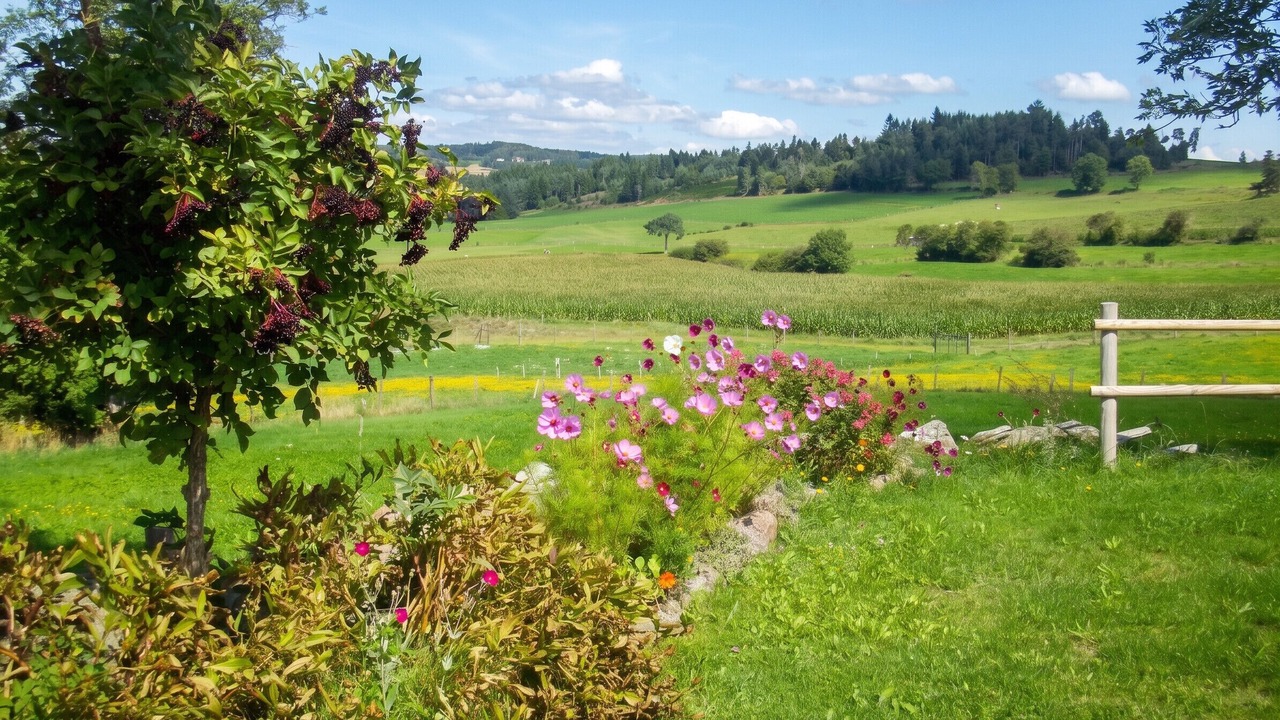 Photo of Outdoor in Saint-Pal-de-Chalencon