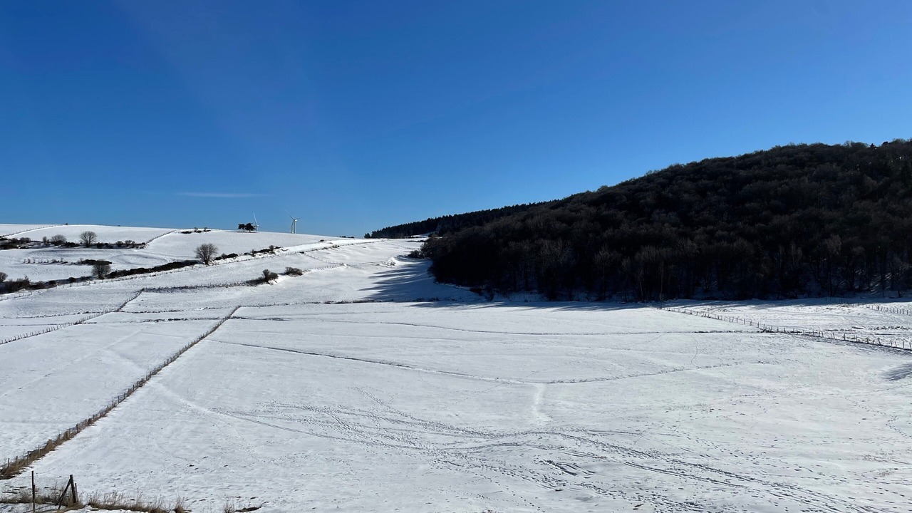 Photo of Others in Saint-Sauveur-de-Ginestoux
