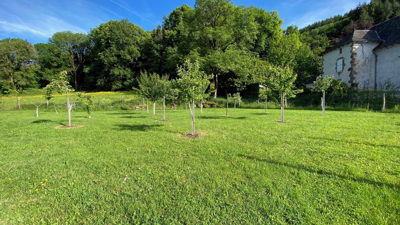 Photo of Outdoor in Jussac