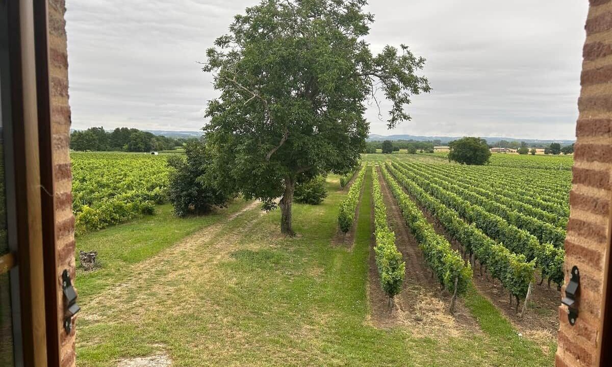Photo of Others in Lisle-sur-Tarn