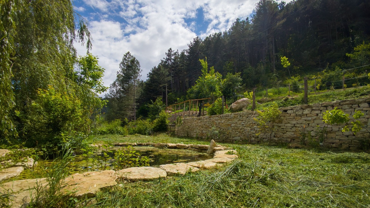 Photo of Outdoor in Die