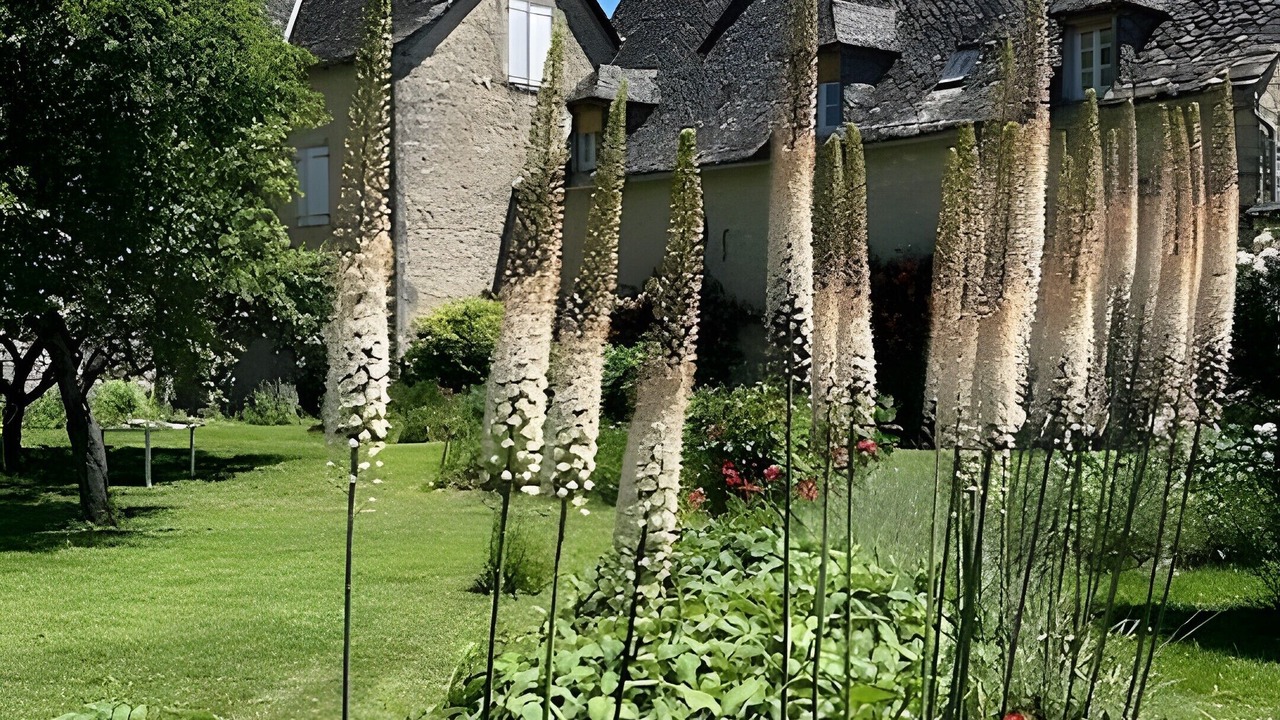 Photo of Outdoor in Anglars-Saint-Felix