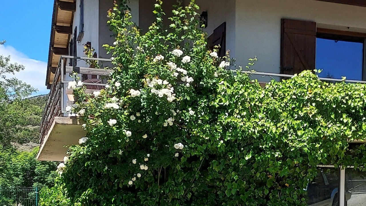 Photo of Outdoor in Estavar