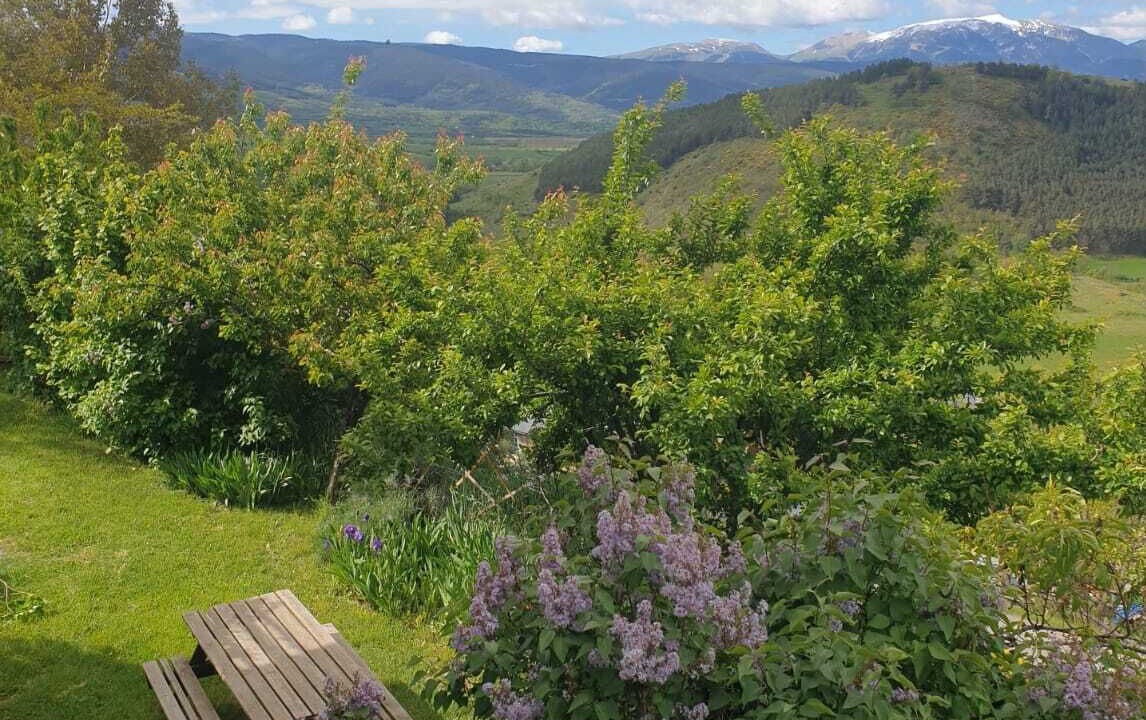 Photo of Outdoor in Estavar