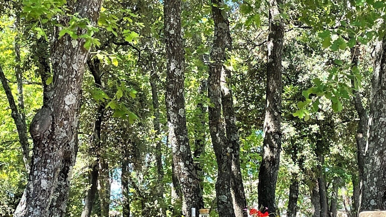 Photo of Outdoor in Les Cordiers