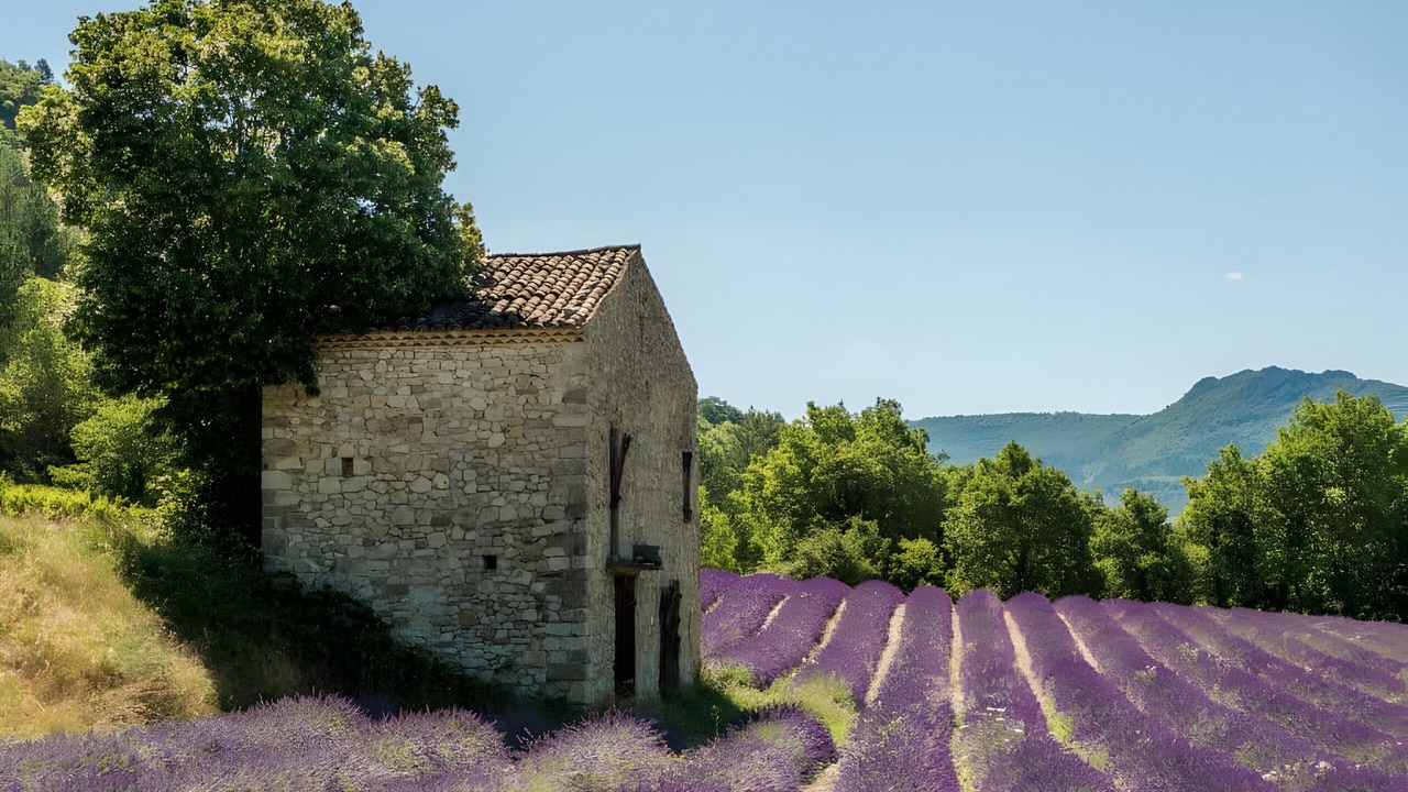 Photo of Others in Saint-Paul-Trois-Chateaux
