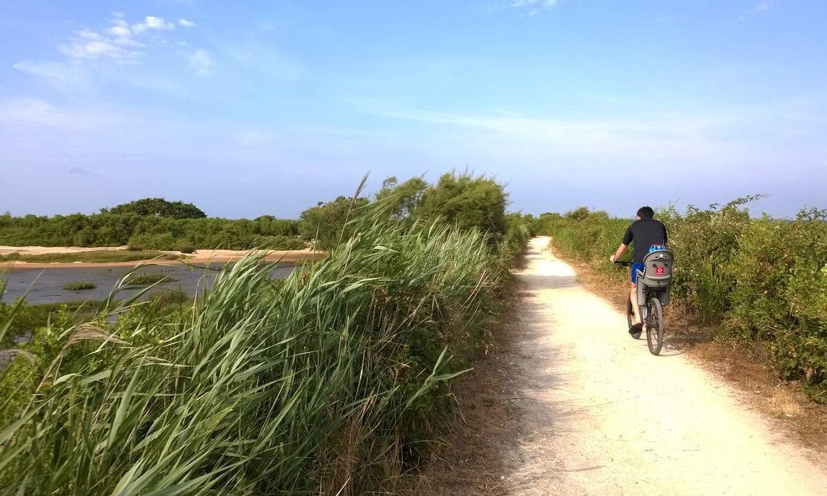 Photo of Others in Le Teich