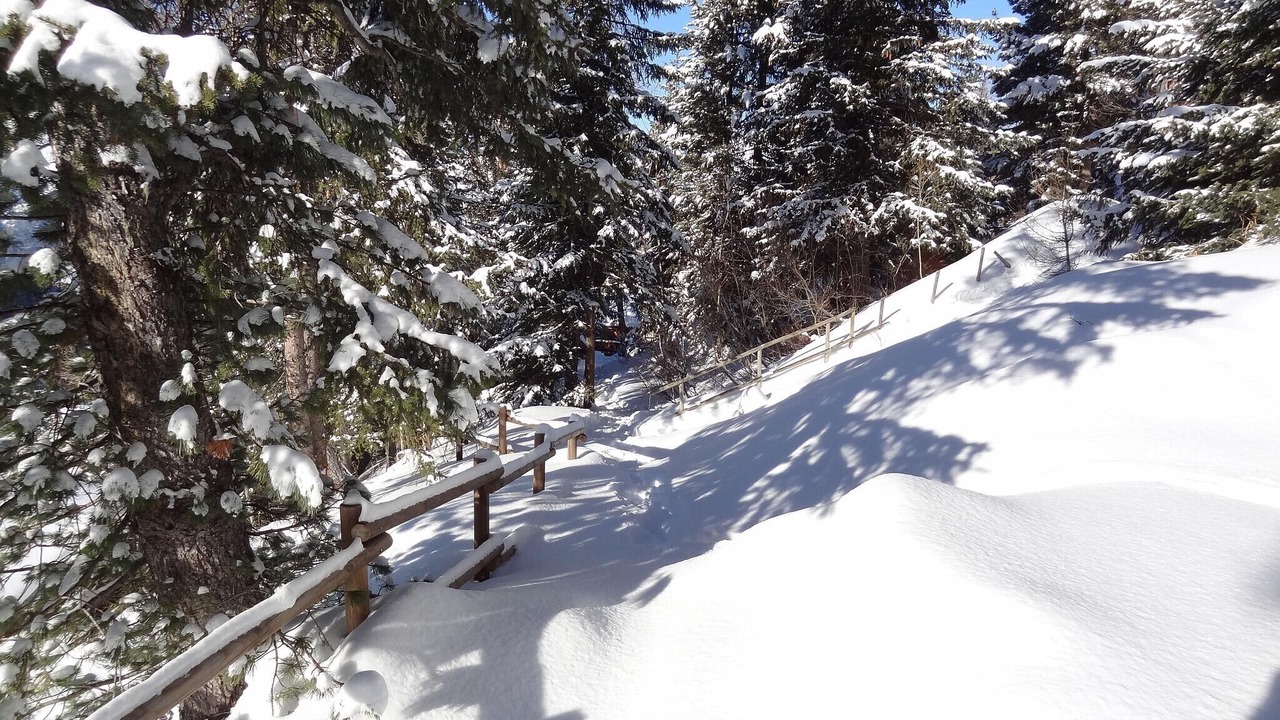 Photo of Others in Plagne 1800